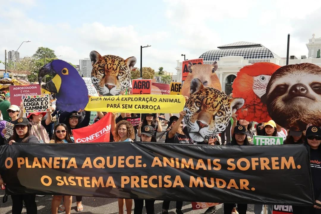 Amazon Deforestation Hits Record Low Before Brazil Runoff