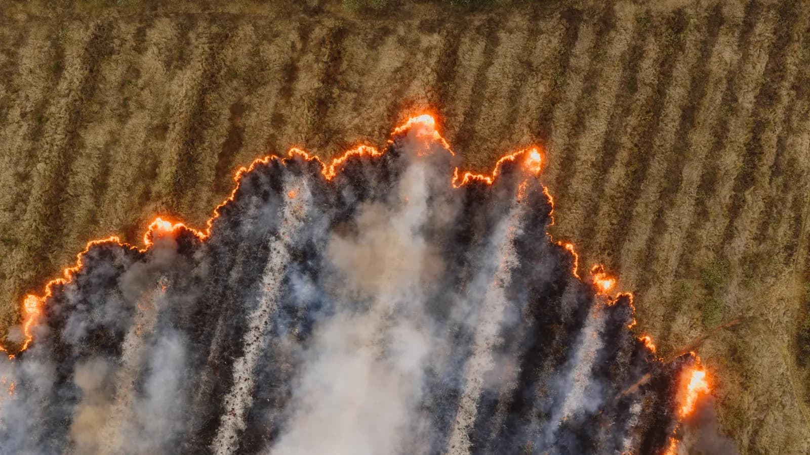 Indonesia Chokes on Haze as Fires Intensify