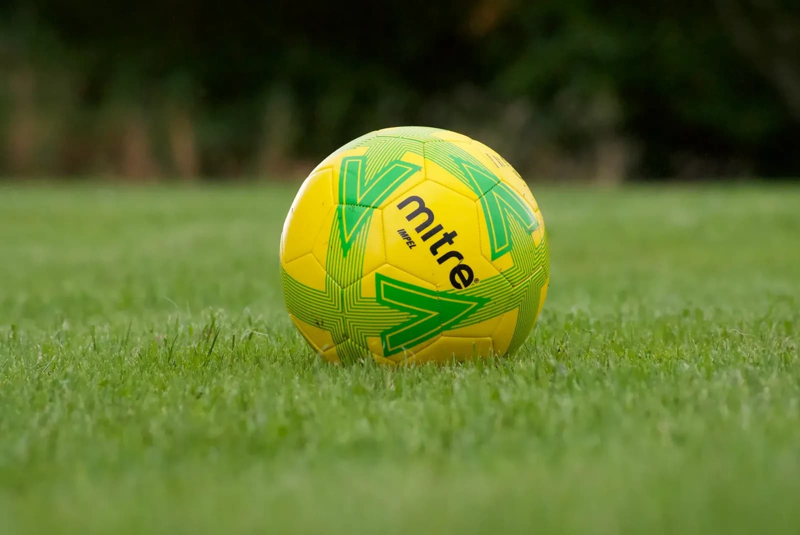 Scotland's New Boss to Name Mirallas Assistant