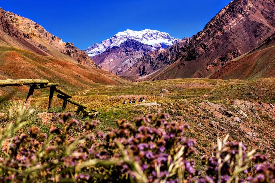 Chile to Protest Argentina Over Strait Remarks