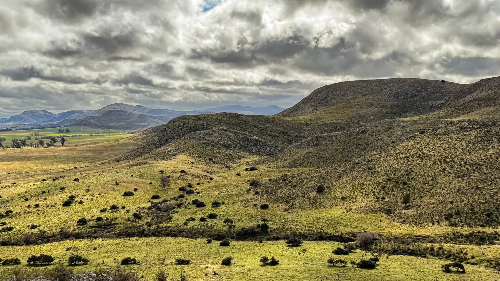 La Justicia ordenó preservar los datos de tierras rurales bonaerenses