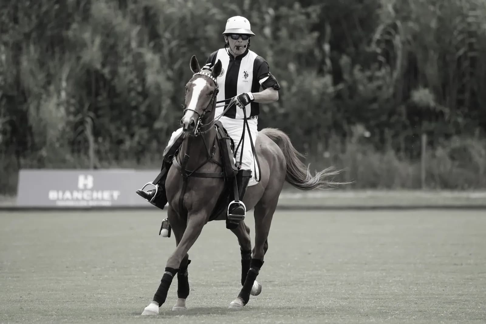 Un rayo mata a cuatro yeguas de polo en el Jockey Club de San Isidro