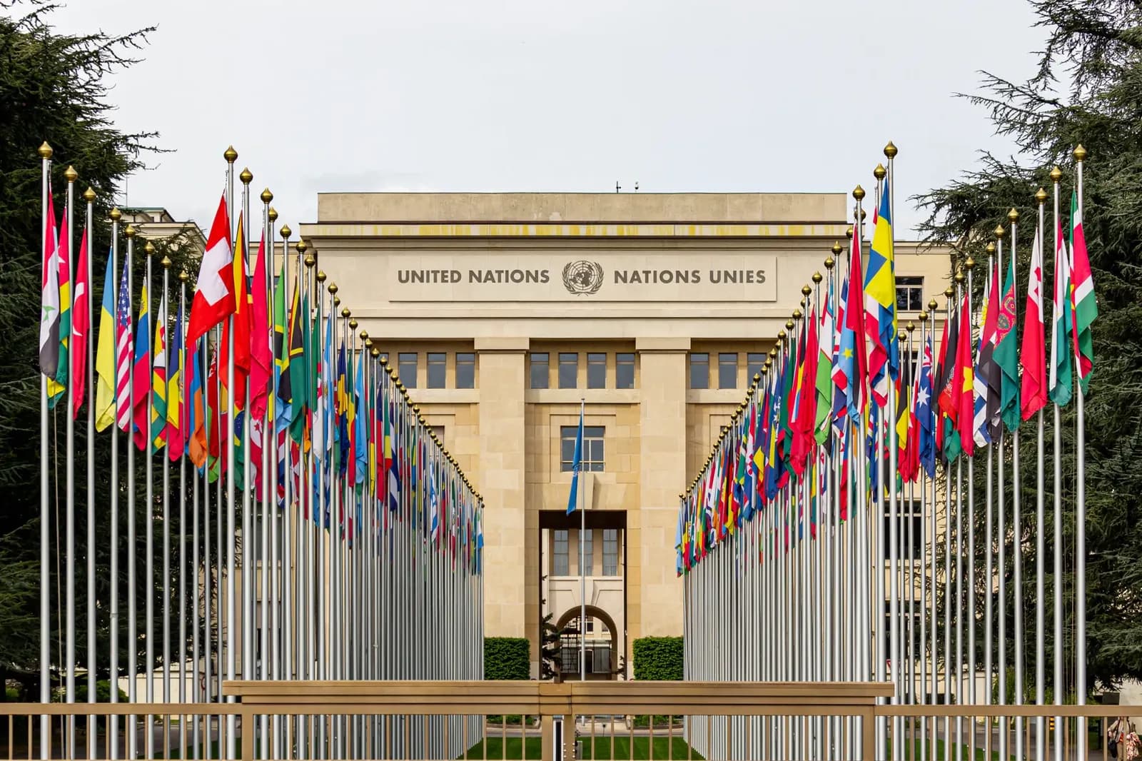 Comité de la ONU: Estados deben considerar reparaciones por esclavitud