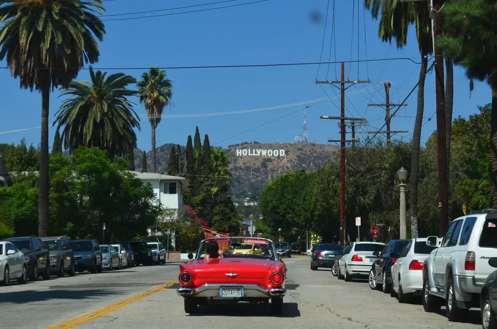 Paramount+ Orders Clueless Sequel Starring Alicia Silverstone