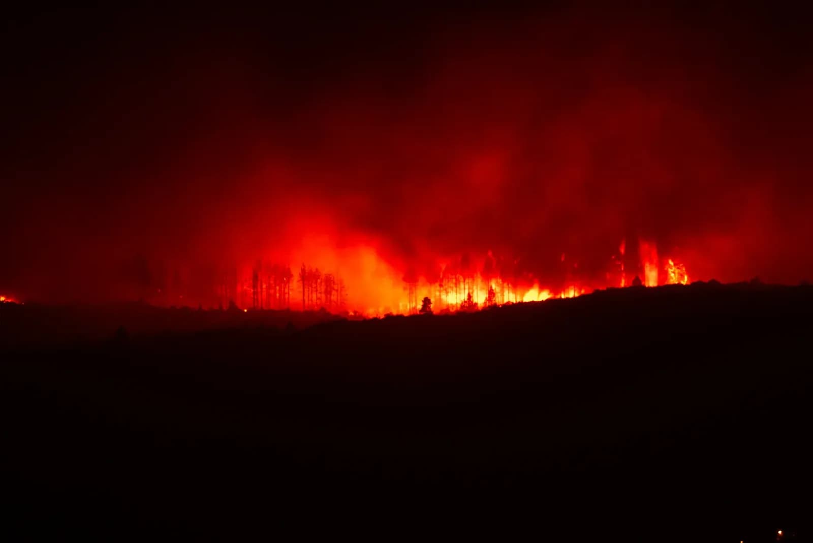 Masivo apagón en La Plata por incendio en central eléctrica de Tolosa