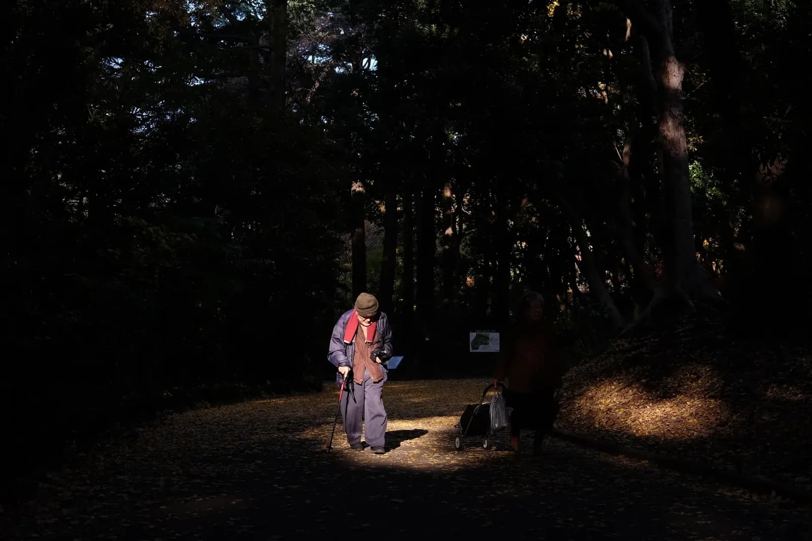 Japan's Centenarians Surpass 100,000 for First Time