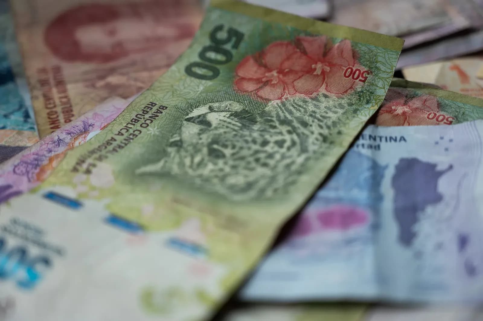 Argentina recession risk rises to 82% in August, Di Tella says