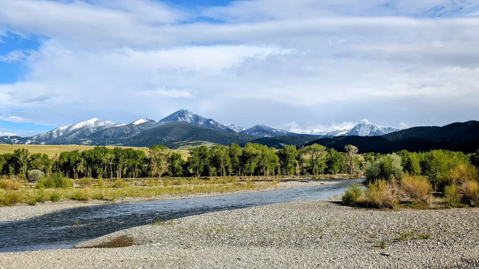 Ciudad de Montana detiene película de Daily Wire por seguridad y perturbación