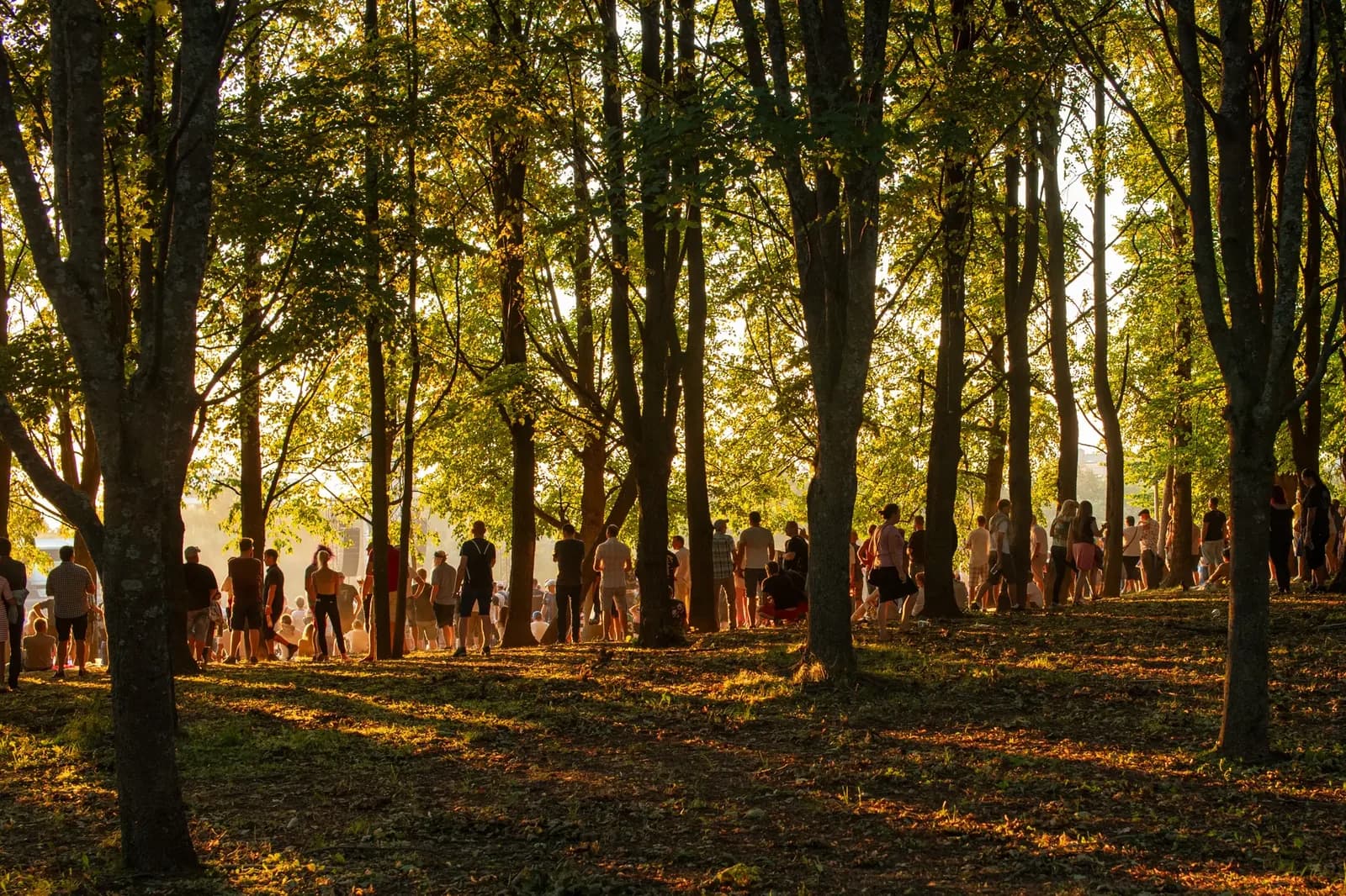 Hardly Strictly Bluegrass Closes All Gates for First Time
