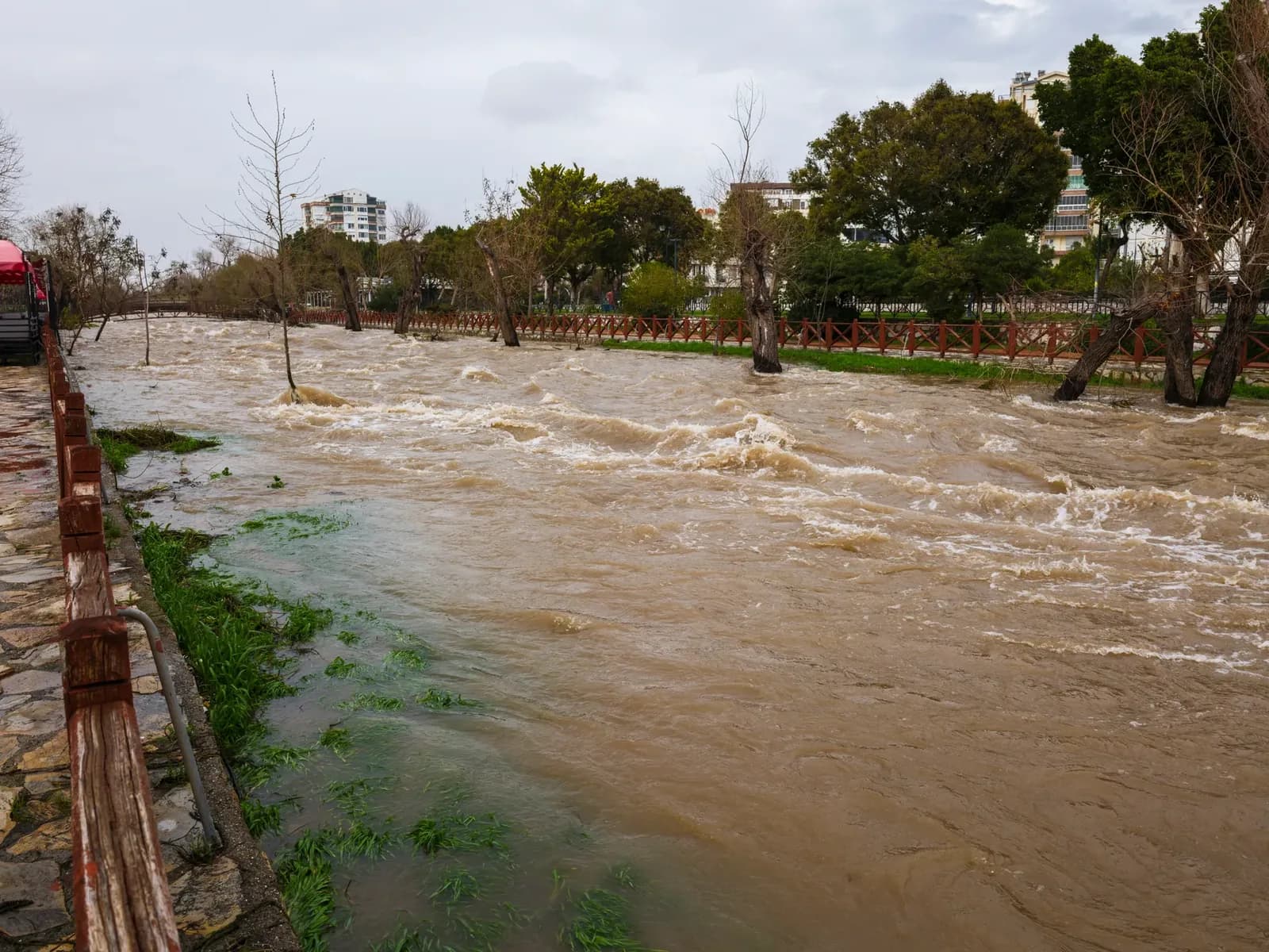 Body of woman swept away by Cabrera de Mar stream found at sea