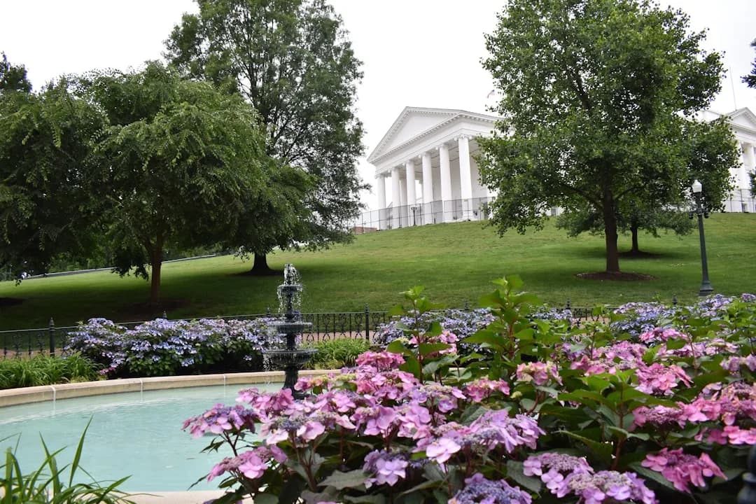 Virginia Lawmakers Seek Special Session to Review Dominion-NextEra Merger