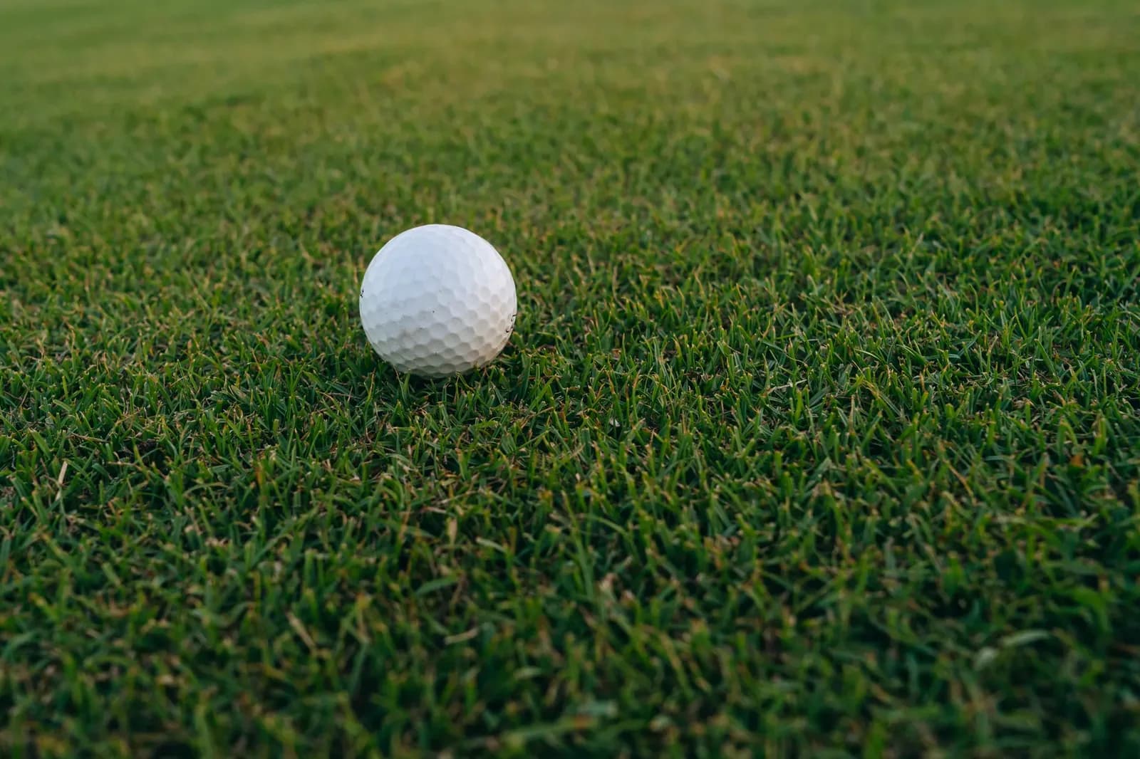 LIV Golf Files for Chapter 11 Bankruptcy