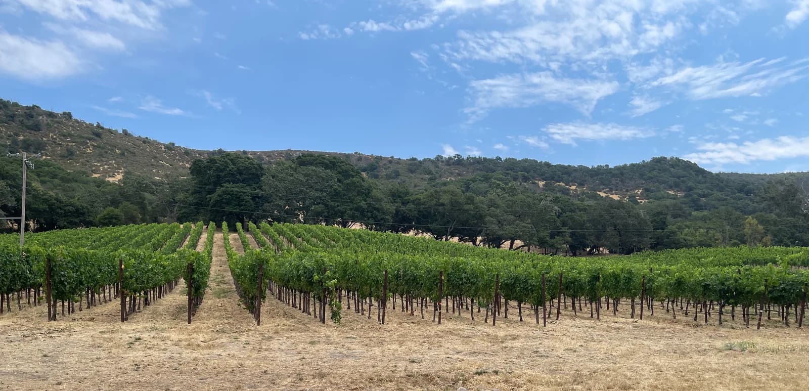 Gundlach Bundschu Winery se acoge al Capítulo 11 tras 168 años