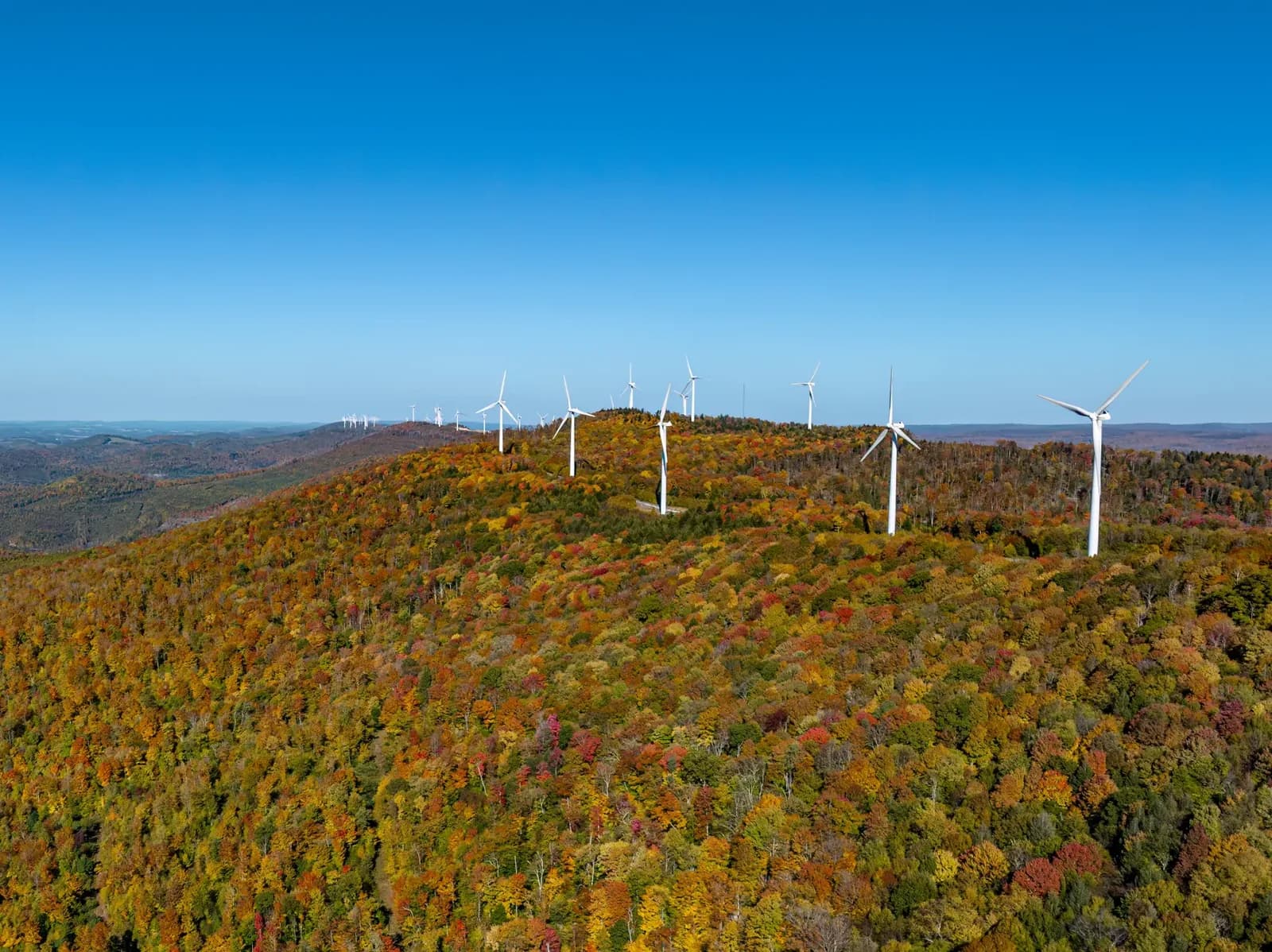 Virginia Energy Commission to Review $67B Dominion-NextEra Merger