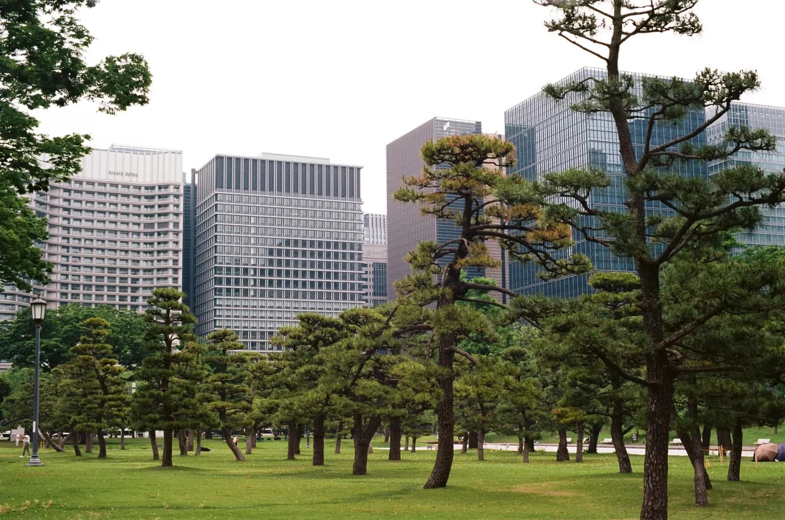El Banco de Japón sube los tipos al 1,25%, máximo en 31 años
