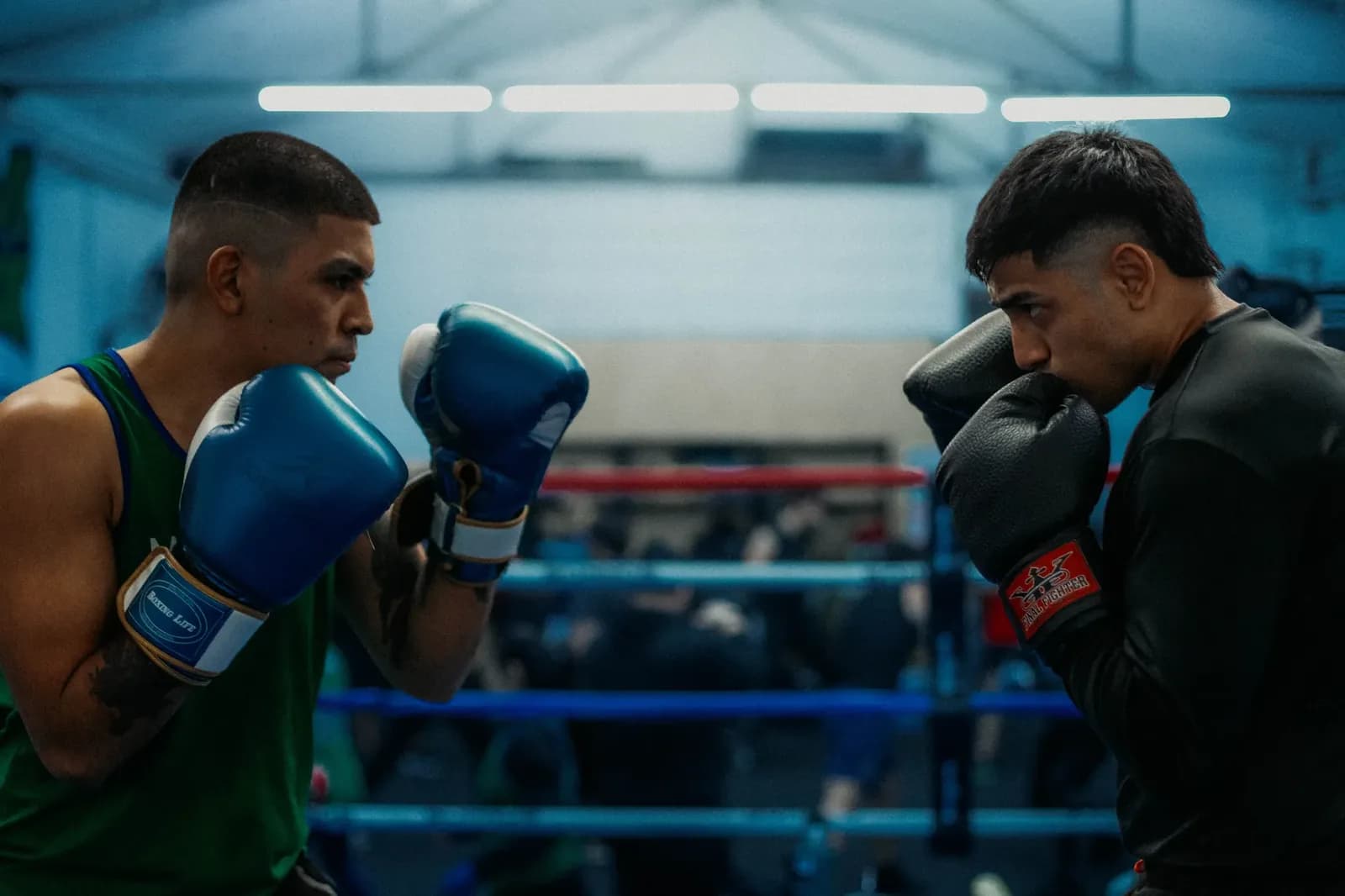 Knyba Upsets Ruiz in Newark
