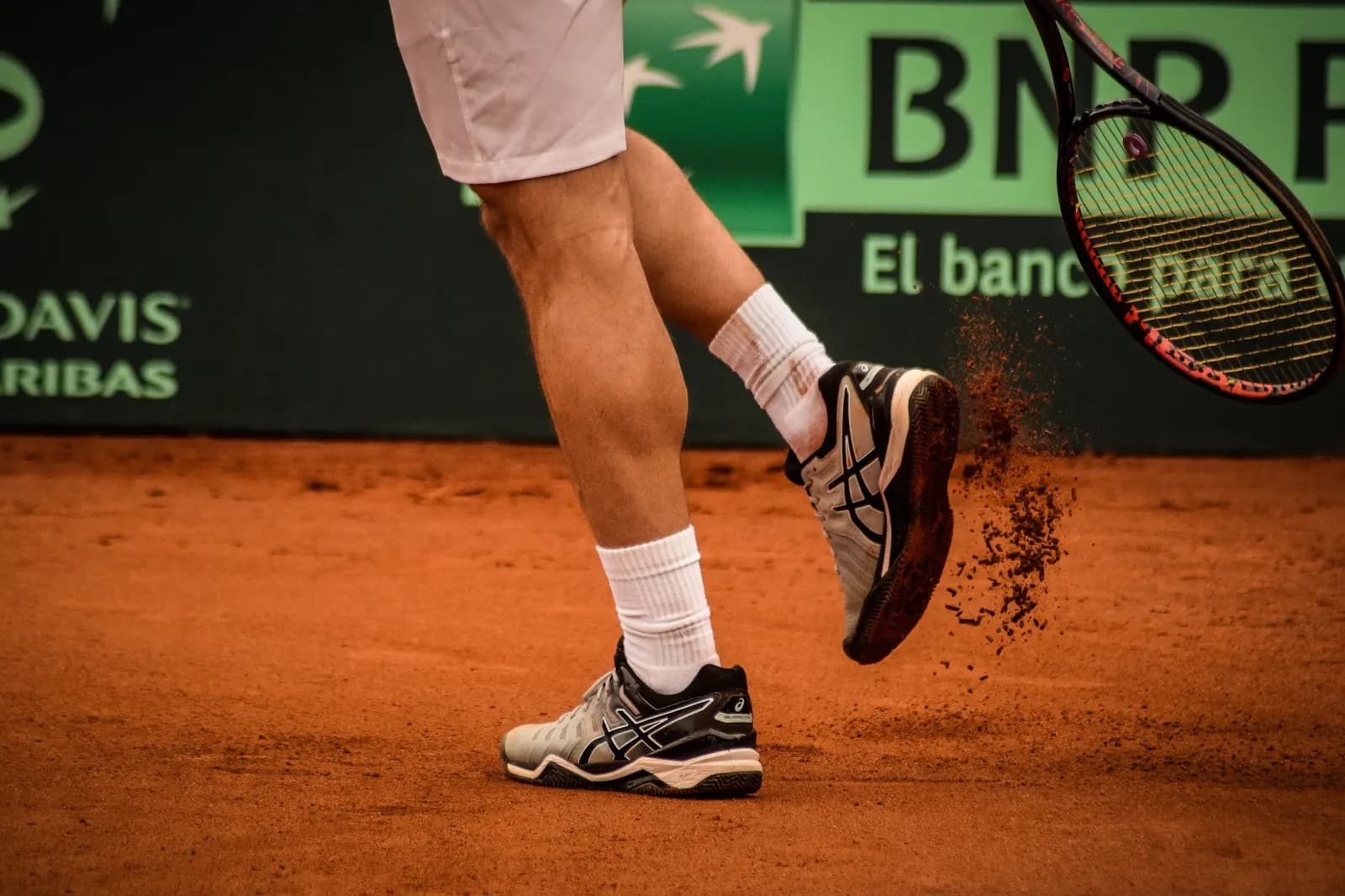 Davis Cup Final 8 Draw Sets Italy vs South Korea, Spain vs Austria